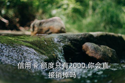 信用卡只有两千额度怎么养,浦发信用卡两千额度多久能提额?