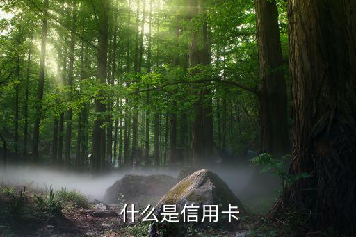 什么是信用卡