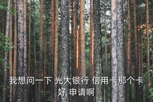 光大白金信用卡好申请,光大商旅白金信用卡