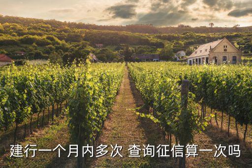 建行一个月内多次 查询征信算一次吗