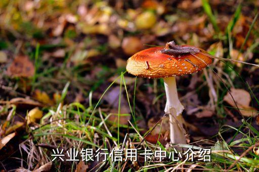 兴业银行信用卡中心介绍