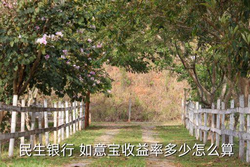 民生信用卡如意宝还款