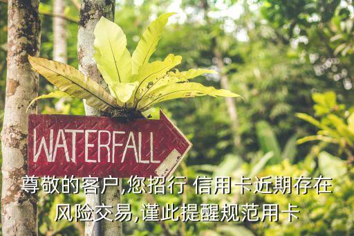 尊敬的客户,您招行 信用卡近期存在风险交易,谨此提醒规范用卡