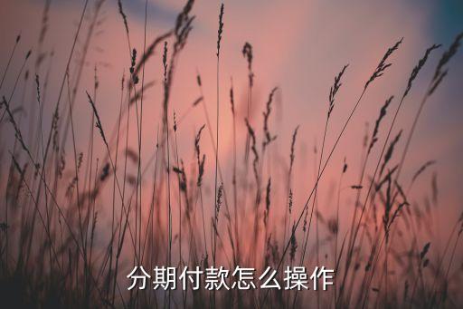 分期付款怎么操作