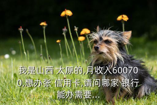 我是山西 太原的,月收入600700,想办张 信用卡,请问哪家 银行能办需要...