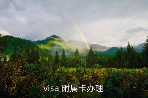 visa 附属卡办理
