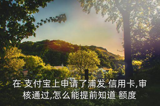 支付宝能不能查信用卡额度,手机支付宝怎么查信用卡额度