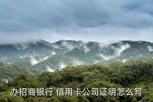 信用卡办理申请范文,兴业银行信用卡申请办理在线