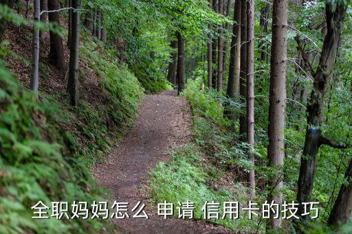 全职妈妈怎么 申请 信用卡的技巧