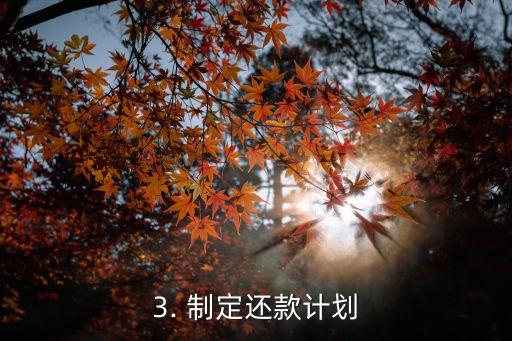 信用卡贷款优化，优化信用卡贷款，选择更划算的方案