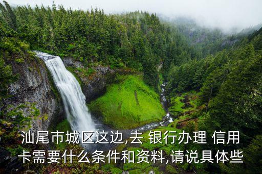 汕尾市城区这边,去 银行办理 信用卡需要什么条件和资料,请说具体些