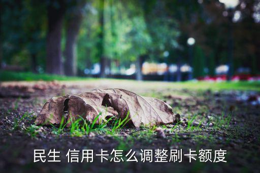 民生 信用卡怎么调整刷卡额度