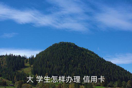 大 学生怎样办理 信用卡