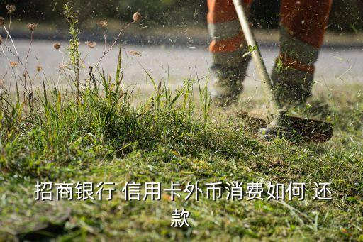 招商信用卡美元还款