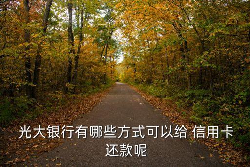 光大信用卡还款用什么app
