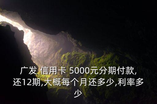 广发 信用卡 5000元分期付款,还12期,大概每个月还多少,利率多少
