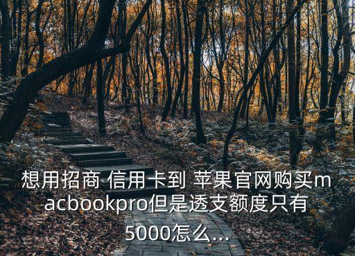 想用招商 信用卡到 苹果官网购买macbookpro但是透支额度只有5000怎么...