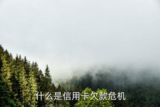 什么是信用卡欠款危机