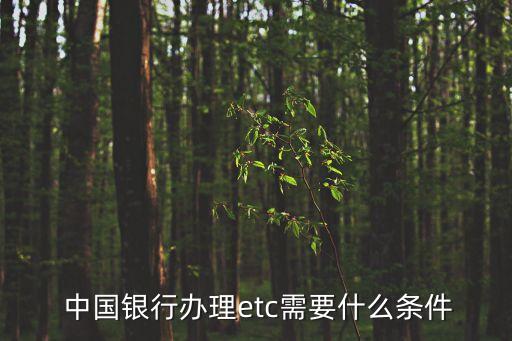 中国银行办理etc需要什么条件