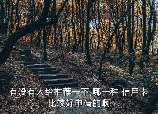 有没有人给推荐一下,哪一种 信用卡比较好申请的啊