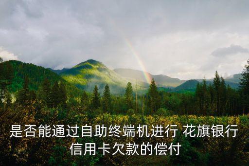 是否能通过自助终端机进行 花旗银行 信用卡欠款的偿付