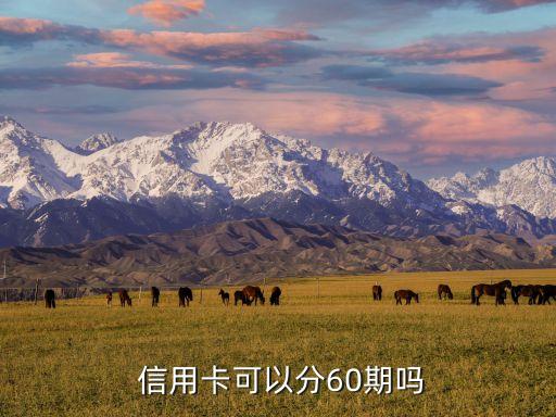  信用卡可以分60期吗