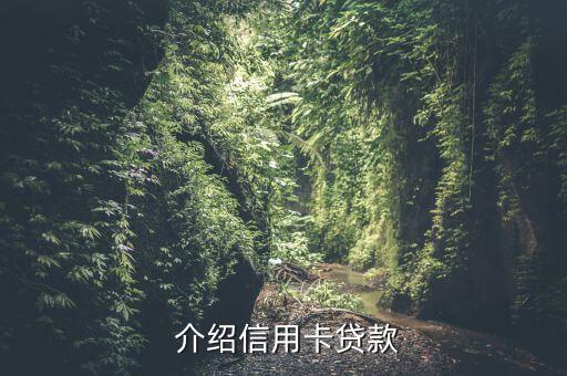 介绍信用卡贷款