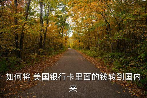 如何将 美国银行卡里面的钱转到国内来