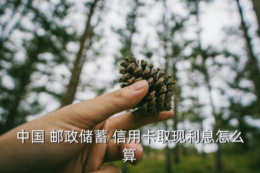 中国 邮政储蓄 信用卡取现利息怎么算
