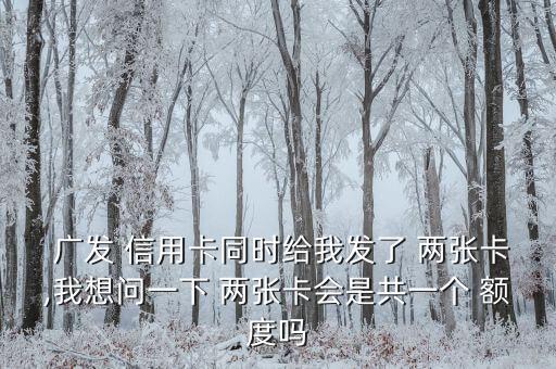  广发 信用卡同时给我发了 两张卡,我想问一下 两张卡会是共一个 额度吗