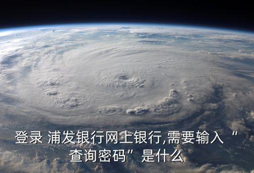 登录 浦发银行网上银行,需要输入“查询密码”是什么