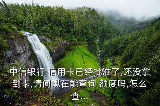 中信银行 信用卡已经批准了,还没拿到卡,请问现在能查询 额度吗,怎么查...