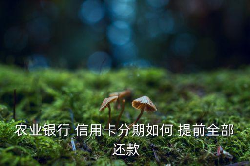 农业银行 信用卡分期如何 提前全部 还款