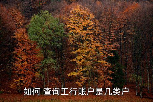 如何 查询工行账户是几类户