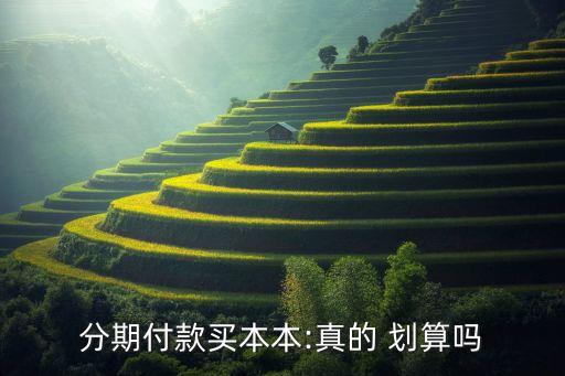 分期付款买本本:真的 划算吗