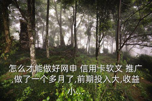 怎么才能做好网申 信用卡软文 推广,做了一个多月了,前期投入大,收益小...