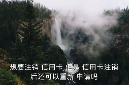 想要注销 信用卡,但是 信用卡注销后还可以重新 申请吗