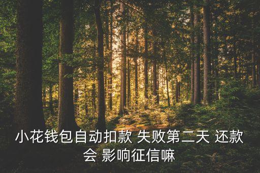 小花钱包自动扣款 失败第二天 还款会 影响征信嘛