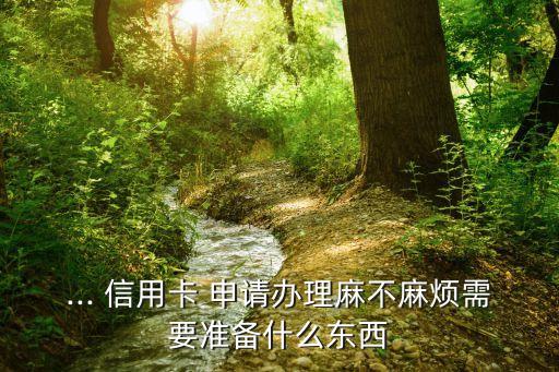 ... 信用卡 申请办理麻不麻烦需要准备什么东西
