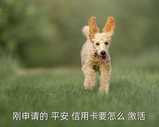 刚申请的 平安 信用卡要怎么 激活