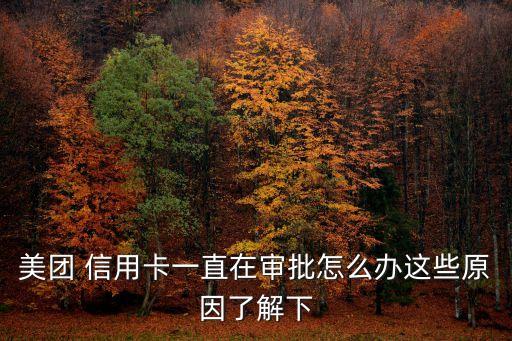 美团 信用卡一直在审批怎么办这些原因了解下