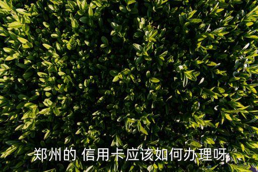  郑州的 信用卡应该如何办理呀