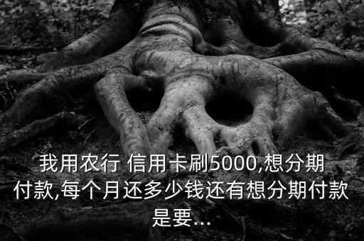我用农行 信用卡刷5000,想分期付款,每个月还多少钱还有想分期付款是要...