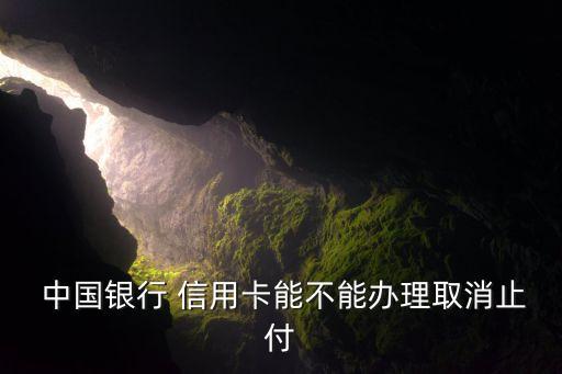  中国银行 信用卡能不能办理取消止付