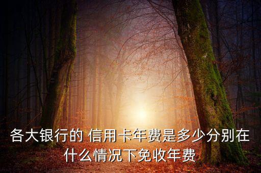 各大银行的 信用卡年费是多少分别在什么情况下免收年费