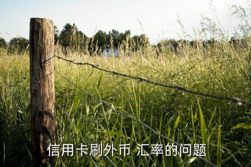  信用卡刷外币 汇率的问题