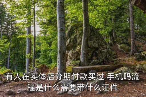 有人在实体店分期付款买过 手机吗流程是什么需要带什么证件