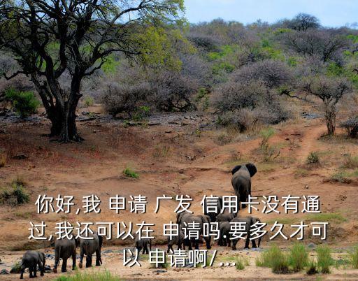 你好,我 申请 广发 信用卡没有通过,我还可以在 申请吗.要多久才可以 申请啊/...