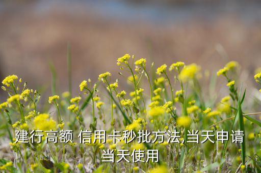 秒批卡的银行信用卡,什么银行信用卡秒批马上知道结果