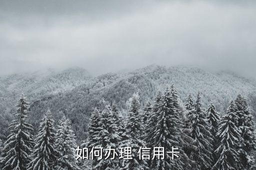 如何办理 信用卡